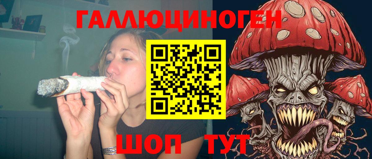 Псилоцибиновые грибы мицелий Гусь-Хрустальный