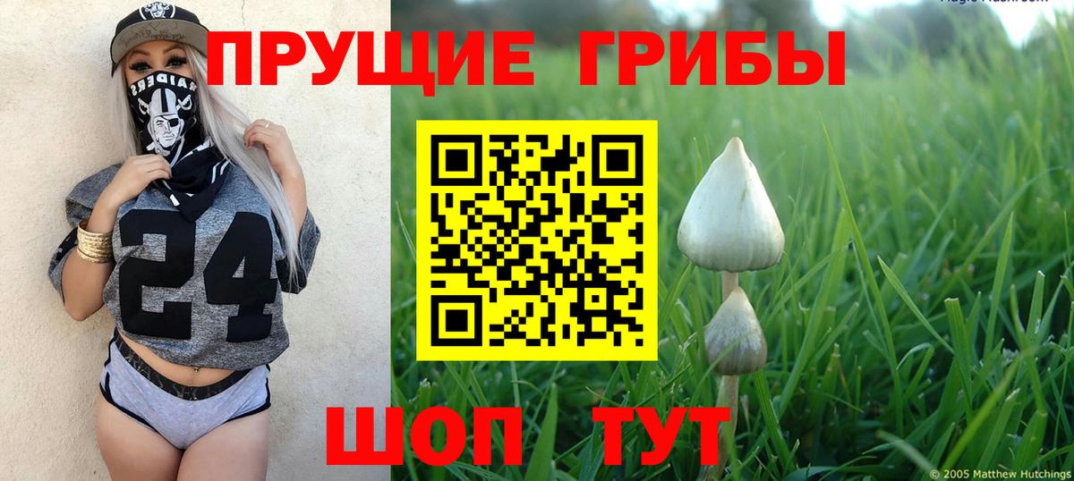 Галлюциногенные грибы мицелий  Вход с VPN  Гусь-Хрустальный 