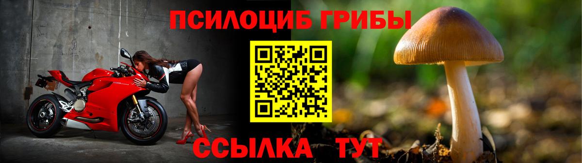 Галлюциногенные грибы GOLDEN TEACHER Гусь-Хрустальный